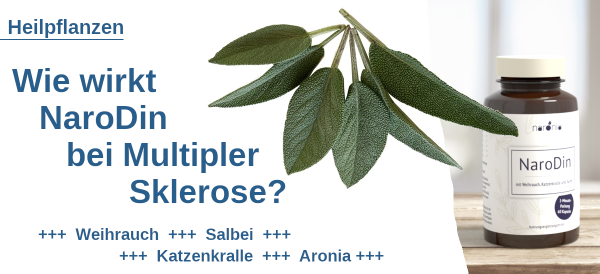 Wie wirkt NaroDin bei Multipler Sklerose?